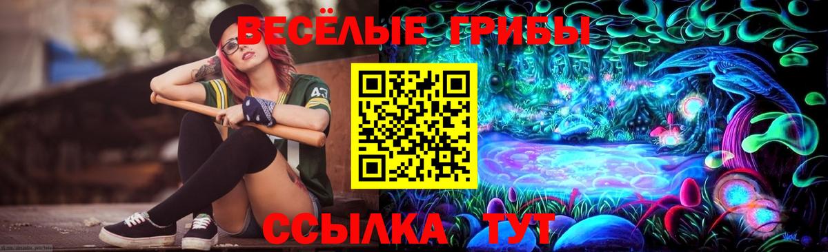 Галлюциногенные грибы Psilocybe  Галлюциногенные грибы Magic Shrooms  Вход с VPN  Ялта 